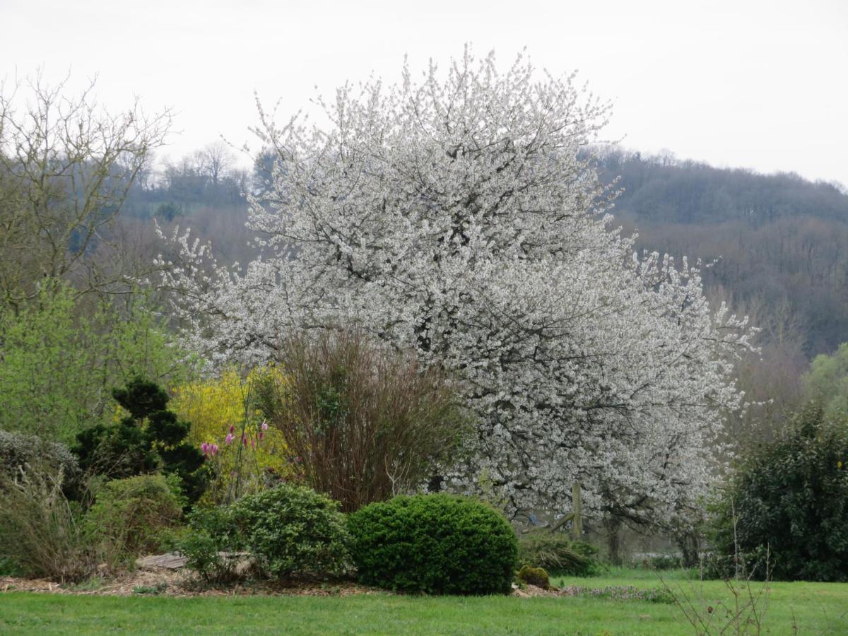 Ecrin De Verdure Sainte-Suzanne  Exterior photo