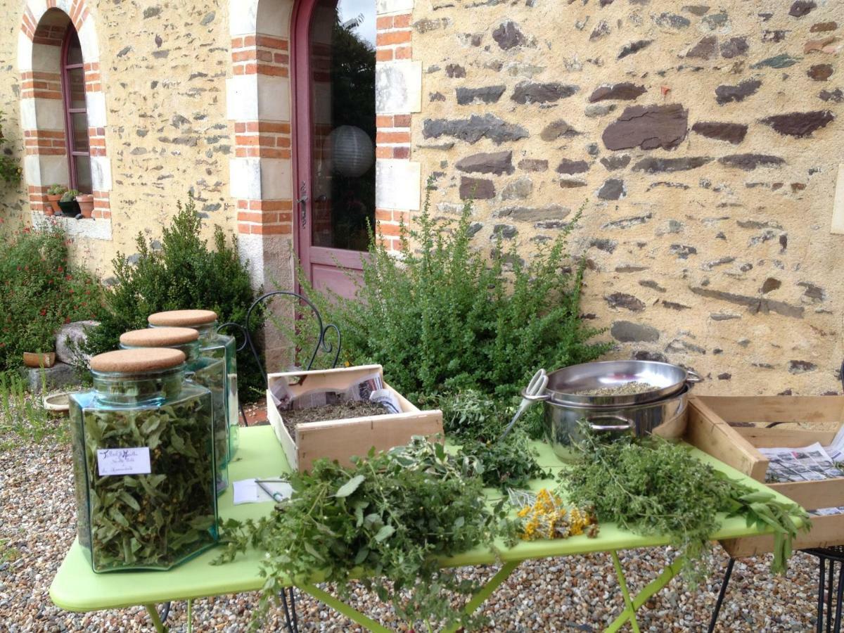 Ecrin De Verdure Sainte-Suzanne  Exterior photo